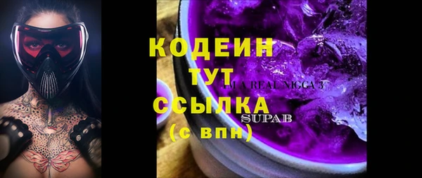 гидра Арсеньев