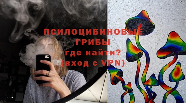 ГАЛЛЮЦИНОГЕННЫЕ ГРИБЫ Сафоново