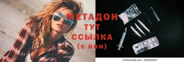 прущие грибы Аркадак